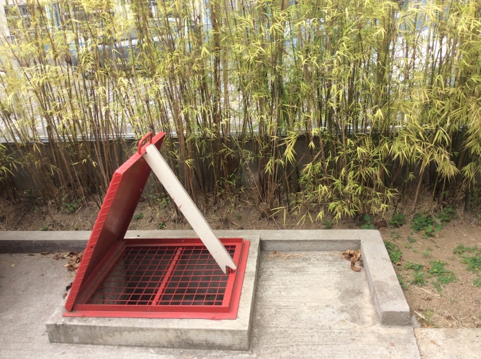 Abertura de reservatórios para a captação de água da chuva